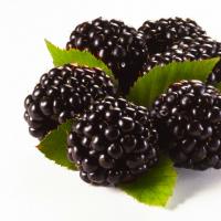I dreamed about blackberries - meaning according to the dream books of Medea, Longo and Vanga