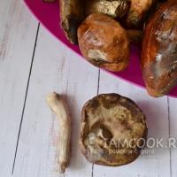 Ways to preserve the beneficial properties of boletus mushrooms Dried boletus mushrooms