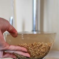 Ako variť perličkový jačmeň v mikrovlnnej rúre