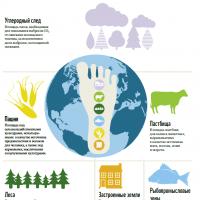 Что такое экологическая емкость планеты земля