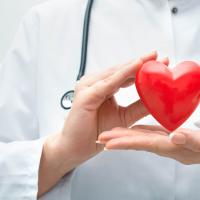 Bobrí prúd pre srdce a kardiovaskulárny systém Koľko môžete vypiť bobrí prúd?